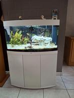 Aquarium, Enlèvement, Comme neuf, Aquarium d'eau douce rempli