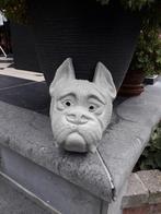 Mooie betonnen kop van hond, Tuin en Terras, Ophalen, Zo goed als nieuw, Beton, Dierenbeeld