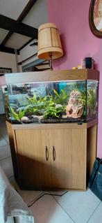 Aquarium 100l+kast-merk Juwel 7070cm-100cm brdt, Dieren en Toebehoren, Ophalen
