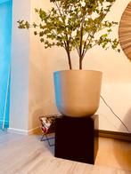 plante artificielle en Ecopot sur un cube noir, Enlèvement, Comme neuf, Intérieur