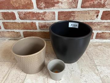 3 bloempotten beschikbaar voor biedingen