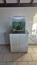 Volledig uitgerust Aquarium van 60L, Dieren en Toebehoren, Ophalen, Gebruikt, Gevuld zoetwateraquarium