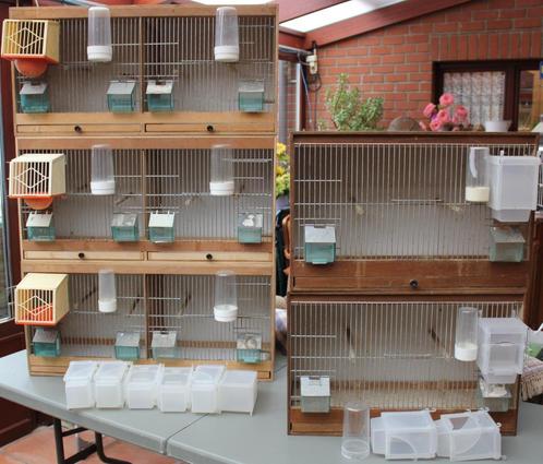 CAGES A OISEAUX, Dieren en Toebehoren, Overige Dieren-accessoires, Gebruikt, Ophalen