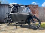 ::1000Wh:: Urban Arrow Family Cargo Line Automaat Bakfiets, Overige merken, 2 zitjes, Urban Arrow, Nieuw