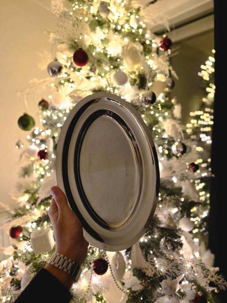 RVS dienblad / schaal – luxe & modern, Huis en Inrichting, Keuken | Servies, Zo goed als nieuw, Ophalen of Verzenden