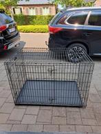 Honden beschikbaar xxl groot, Ophalen