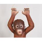 Hanging Baby Oranutan – Orang Oetan beeld Lengte 75 cm, Ophalen, Nieuw