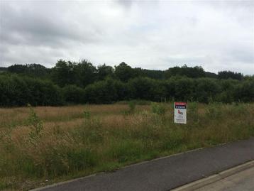 Terrain à vendre à Vielsalm, 1000 à 1500 m²