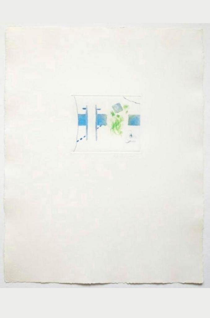Roger Raveel 1989 Blauw-groen tuingezicht, Antiek en Kunst, Kunst | Etsen en Gravures, Ophalen
