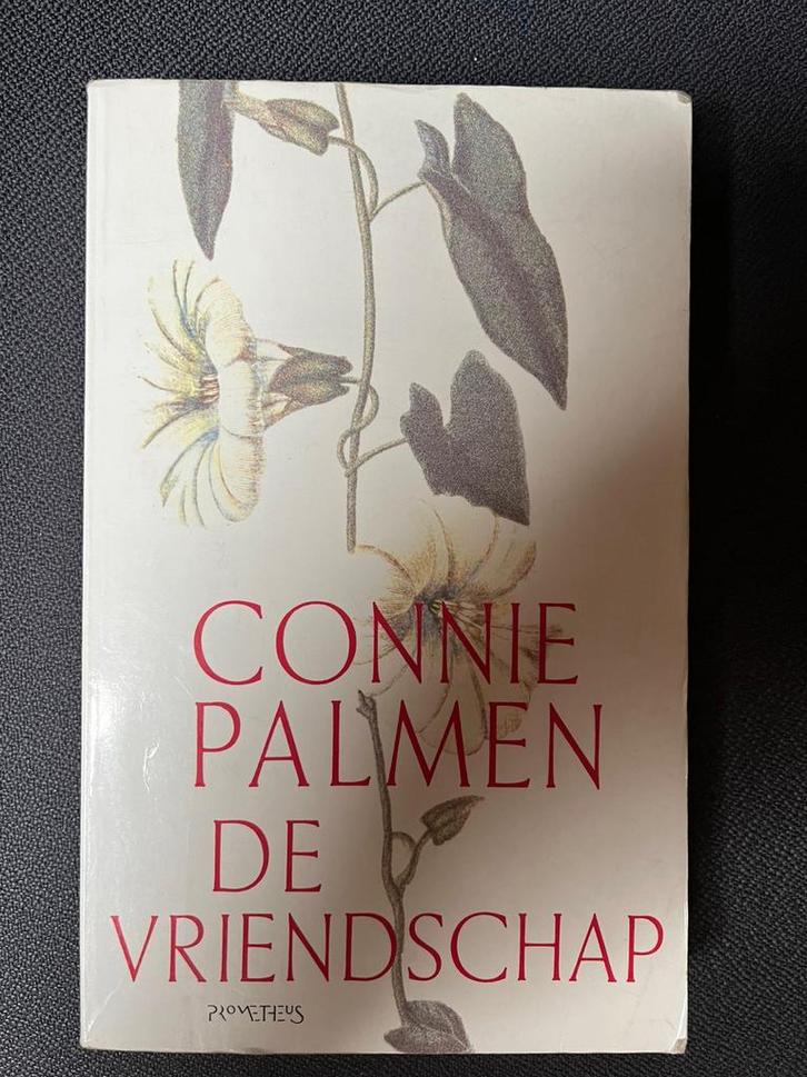 De vriendschap, Boeken, Fantasy, Gelezen, Ophalen of Verzenden