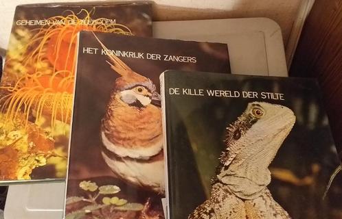 3 Dierenboeken Lekturama-encyclopedie, Boeken, Encyclopedieën, Zo goed als nieuw, Los deel, Dieren, Ophalen of Verzenden