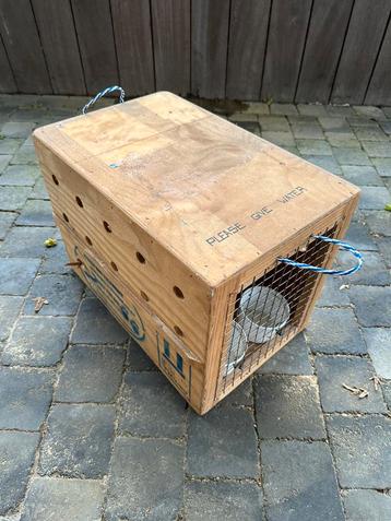 Houten kist voor vervoer kat of kleine hond beschikbaar voor biedingen