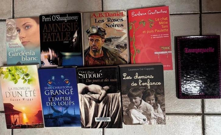 Plusieurs romans à vendre, Boeken, Romans, Zo goed als nieuw, Europa overig, Ophalen of Verzenden