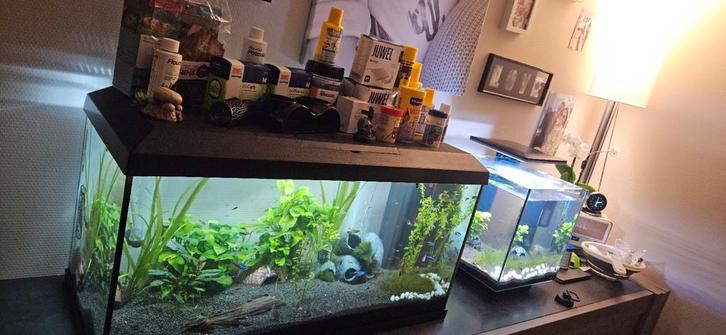 2 complete aquariums + vissen & garnalen + toebehoren., Dieren en Toebehoren, Vissen | Aquaria en Toebehoren, Zo goed als nieuw