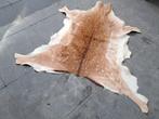 Damhert huid. Goede kwaliteit, Enlèvement ou Envoi, Comme neuf, Cerf, Autres types