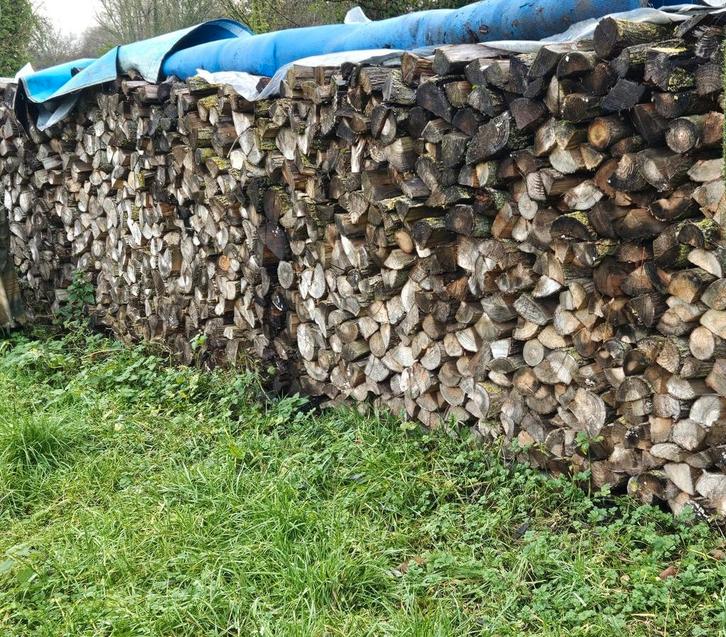 Bois de chauffage à vendre, Jardin & Terrasse, Bois de chauffage, Bûches, Frêne, Enlèvement ou Envoi