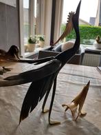 Ivoor vogels, Animaux & Accessoires, Oiseaux | Pigeons