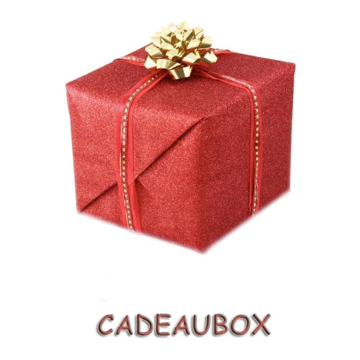 Mystery box - cadeaubox voor honden, Dieren en Toebehoren, Hondenspeelgoed, Nieuw, Overig speelgoed, Ophalen of Verzenden