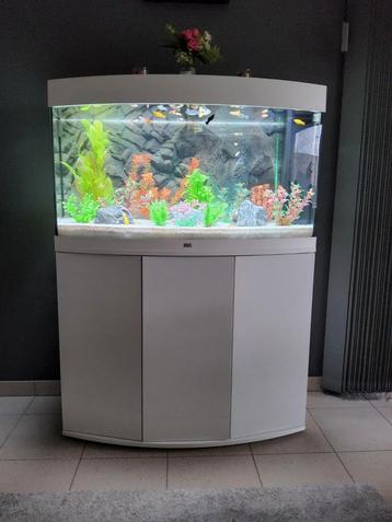 Aquarium te koop Bree ( zonder vissen ), Ophalen, Zo goed als nieuw