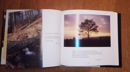 paroles d'arbres photos/réflexion  cneuf C Bolly, Livres, Livres Autre, Comme neuf, Enlèvement ou Envoi