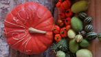 Pompoenen en sierfruit, Ophalen, Nieuw