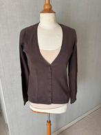 Bruine gilet, Kleding | Dames, Truien en Vesten, Bruin, Maat 42/44 (L), Ophalen of Verzenden, Gedragen