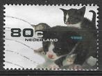 Nederland 1998 - Yvert 1648 - Huisdieren - Katjes (ST), Timbres & Monnaies, Affranchi, Envoi