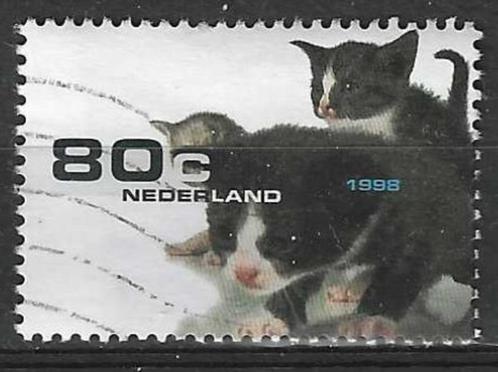 Nederland 1998 - Yvert 1648 - Huisdieren - Katjes (ST), Timbres & Monnaies, Timbres | Pays-Bas, Affranchi, Envoi