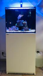 Zeeaquarium red sea 170 leeg, Dieren en Toebehoren, Ophalen, Zo goed als nieuw, Leeg aquarium