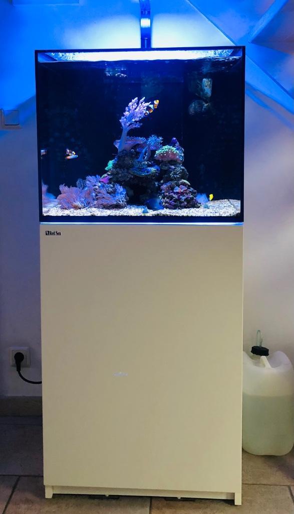 Zeeaquarium red sea 170 leeg, Dieren en Toebehoren, Vissen | Aquaria en Toebehoren, Zo goed als nieuw, Leeg aquarium, Ophalen