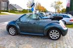 Vw New Beetle 1.4i/Cabrio/HISTORY/GARANTIE, Autos, Argent ou Gris, Achat, Entreprise, Boîte manuelle