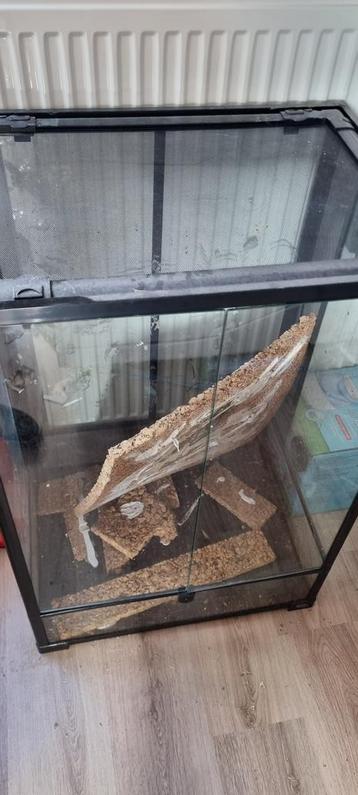 Terarium beschikbaar voor biedingen