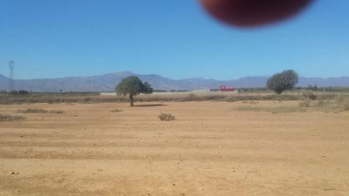 Terrain de 5000m carè titré régions d agadir Maroc, Immo, Étranger