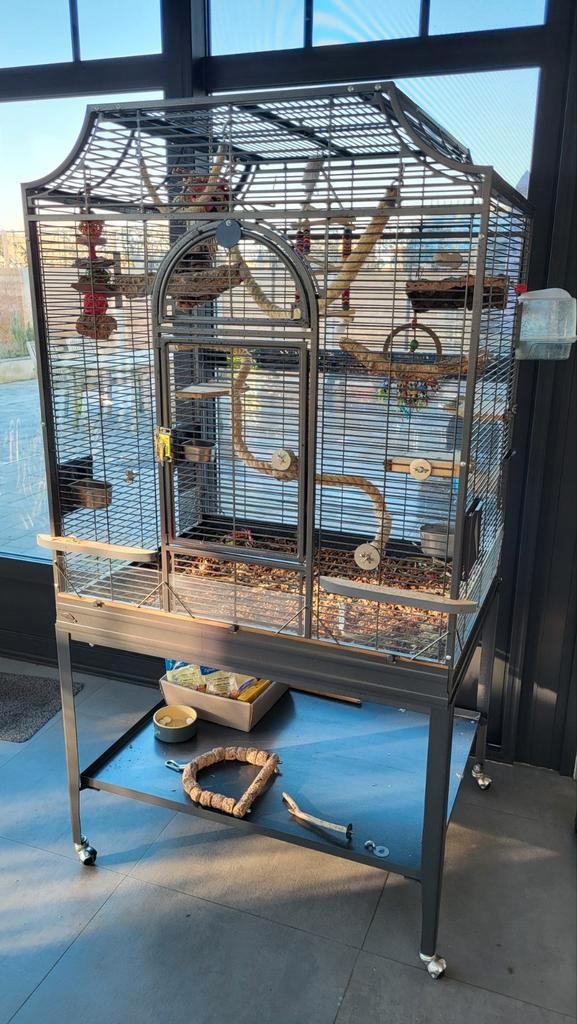 Montana Madeira 3 vogelkooi inclusief véél inboedel, Dieren en Toebehoren, Vogels | Hokken en Kooien, Zo goed als nieuw, Vogelkooi