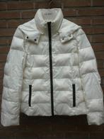 Gewatteerde Donsjas Hallhuber, Kleding | Dames, Overige kleuren, Nieuw, Ophalen of Verzenden, Maat 36 (S)
