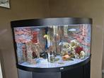 Aquarium Juwel Trigon 350 LED, Comme neuf, Enlèvement ou Envoi