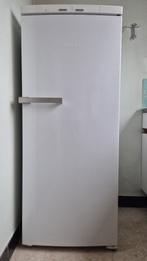 Art. 921 MIELE - Réfrigérateur, Classe énergétique A ou plus économe, 200 litres ou plus, 45 à 60 cm, Sans bac à congélation