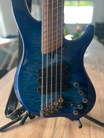 Basse Dingwall, Musique & Instruments, Instruments à corde | Guitares | Basses, Enlèvement, 5 cordes