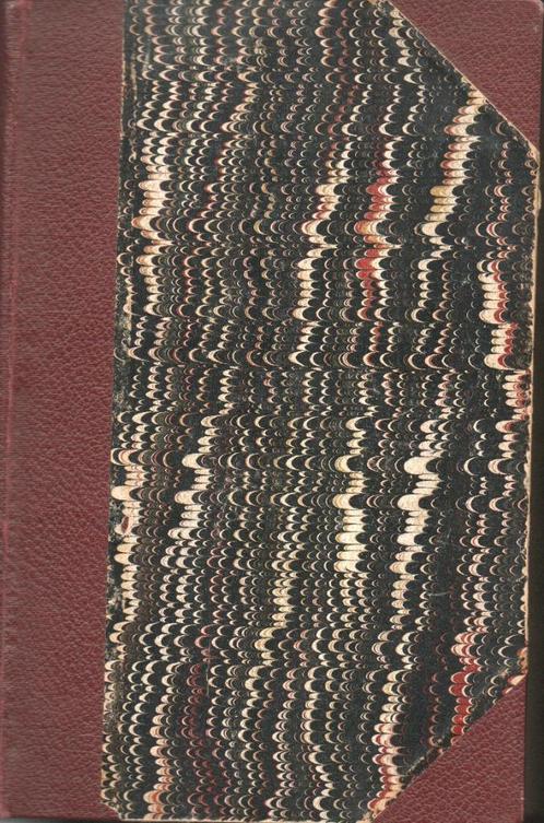 DE DESEM EN HET BROOD - DAAN MEESTERS, Boeken, Romans, Gelezen, België, Ophalen of Verzenden