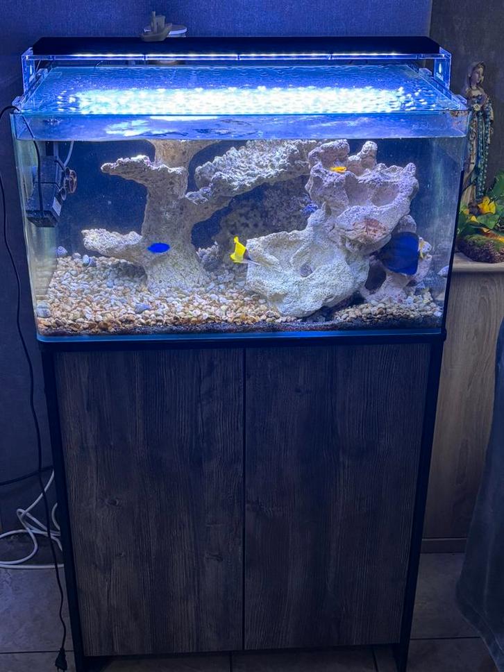 Bleu marine, Hobby en Vrije tijd, Overige Hobby en Vrije tijd, Zo goed als nieuw, Ophalen