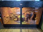 Terrarium, Dieren en Toebehoren, Ophalen, Nieuw, Terrarium of Paludarium