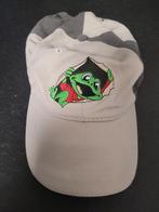 2 Petten - Nieuw, Kinderen en Baby's, Kinderkleding | Petten en Hoeden, Ophalen, Nieuw, Jongen of Meisje, Pet