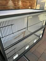 Kweek- vluchtkooi  kanaries, Dieren en Toebehoren, Ophalen, Nieuw, Aluminium, Vogelkooi