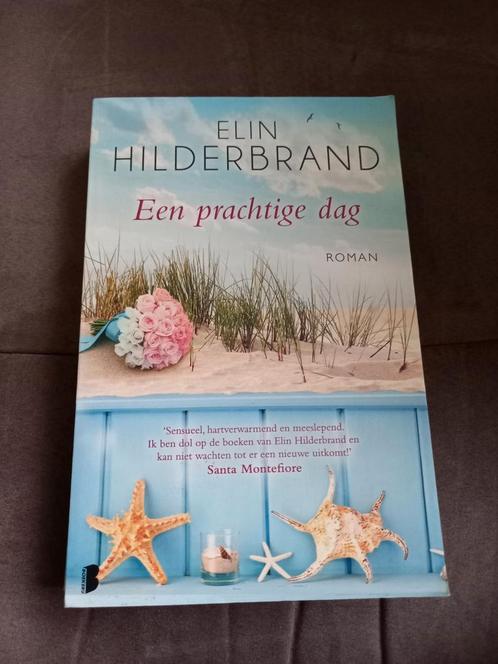 Elin Hilderbrand - Een prachtige dag, Livres, Romans, Utilisé, Amérique, Enlèvement ou Envoi
