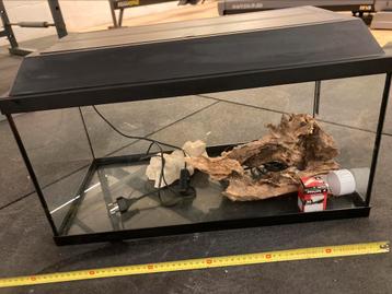 Glazen Terrarium beschikbaar voor biedingen