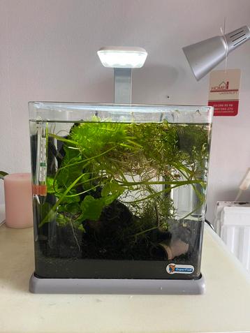 Superfish 15L + inhoud beschikbaar voor biedingen