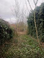 Maison a renover, Immo, Maisons à vendre, Ventes sans courtier