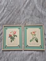 2 mooie vintage kaders Redoutée, Ophalen of Verzenden