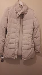 Warme donsjas Zara dames perfecte staat medium, Kleding | Dames, Jassen | Winter, Gedragen, Ophalen, Maat 38/40 (M), Zara