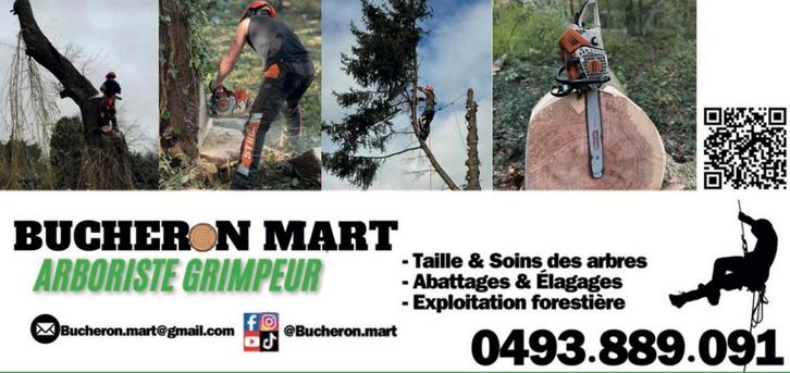 Abattage élagage DEVIS GRATUIT, Jardin & Terrasse, Jardin & Terrasse Autre, Enlèvement ou Envoi